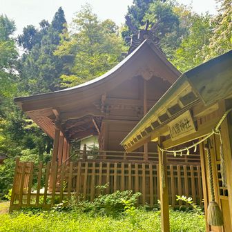 さらに石段を登りと本殿