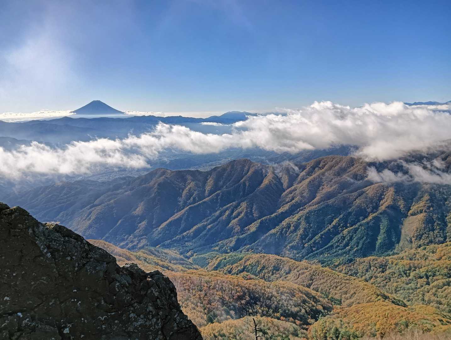 絶景🤩