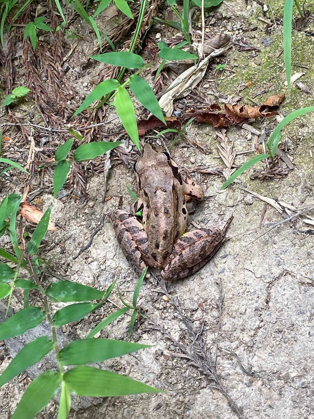 何がえる？