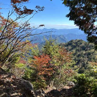 山頂付近では景色が開ける