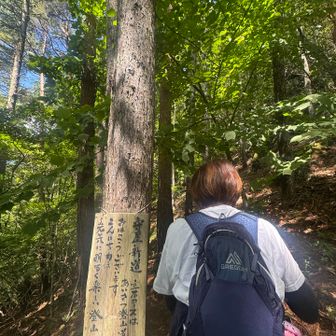 守屋新道  立石コースから登り始めます

（猫背）