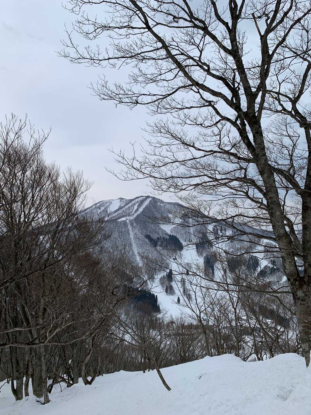 タングラムスキー場⛷