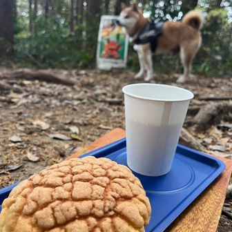 yuさん！メロンパンありがとうございました😊
生き返りました♪