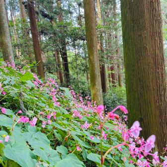 帰りにもう一回「うわぁ♡」言うて（笑）