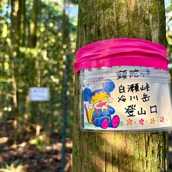 ここから木和田尾根に取り付きます
登山口のイラストがかわいい