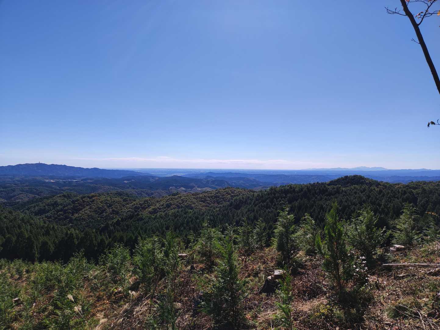 伐採地から。写真では厳しいけど、右端に筑波山、左側に少しだけ太平洋