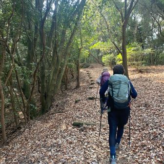 とっとと帰ります。🐔