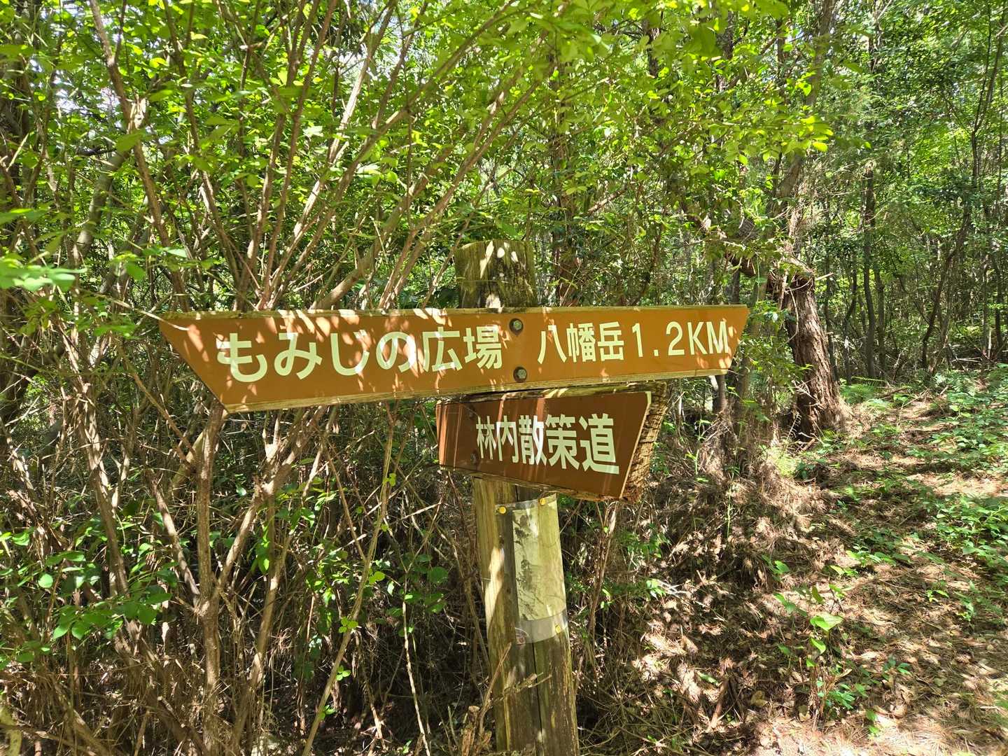 もみじの広場方面へ
とにかく車道に出たい😫