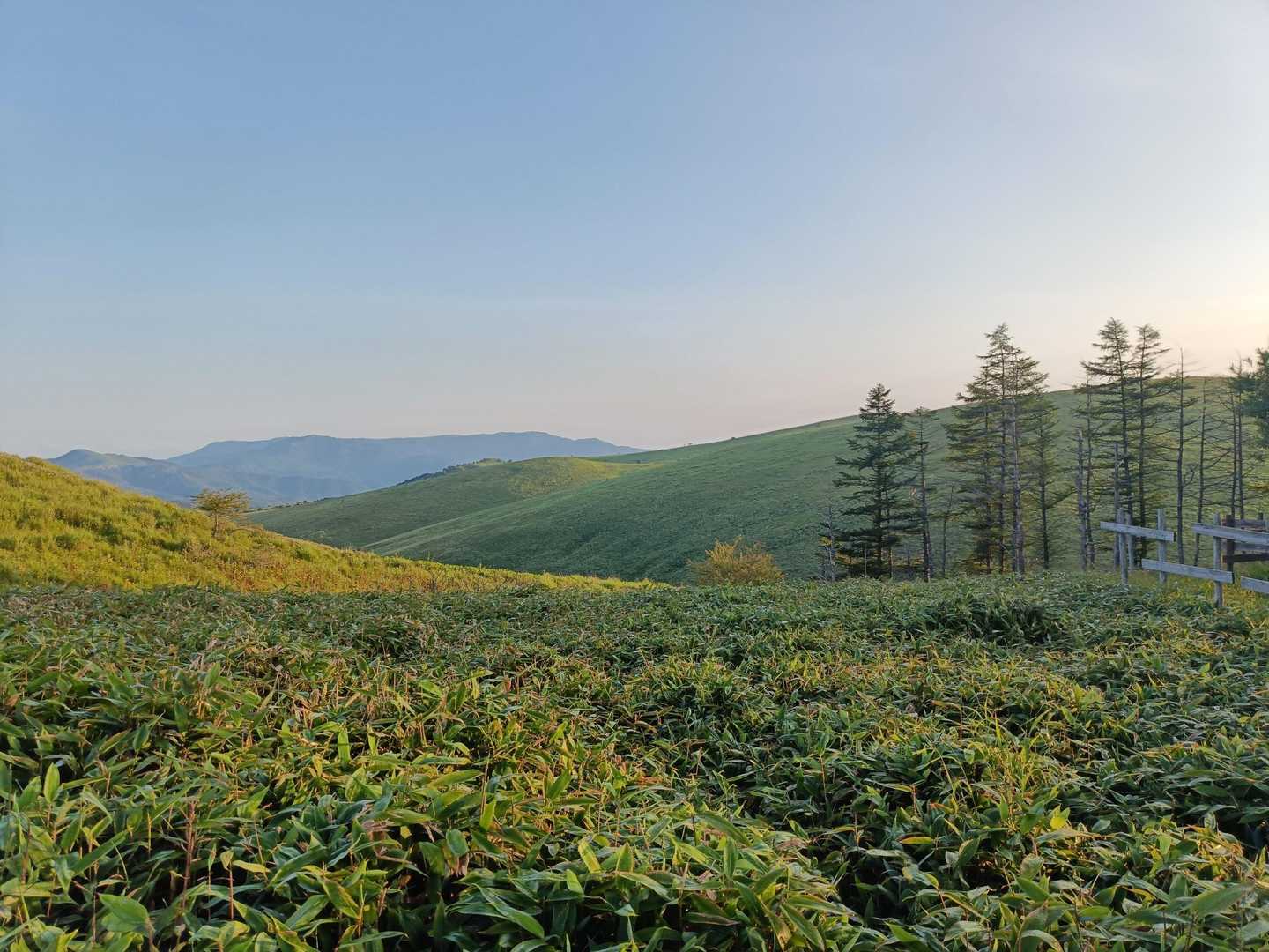 車山肩バス停-霧ヶ峰-車山乗越-蝶々深山 周回コースの写真