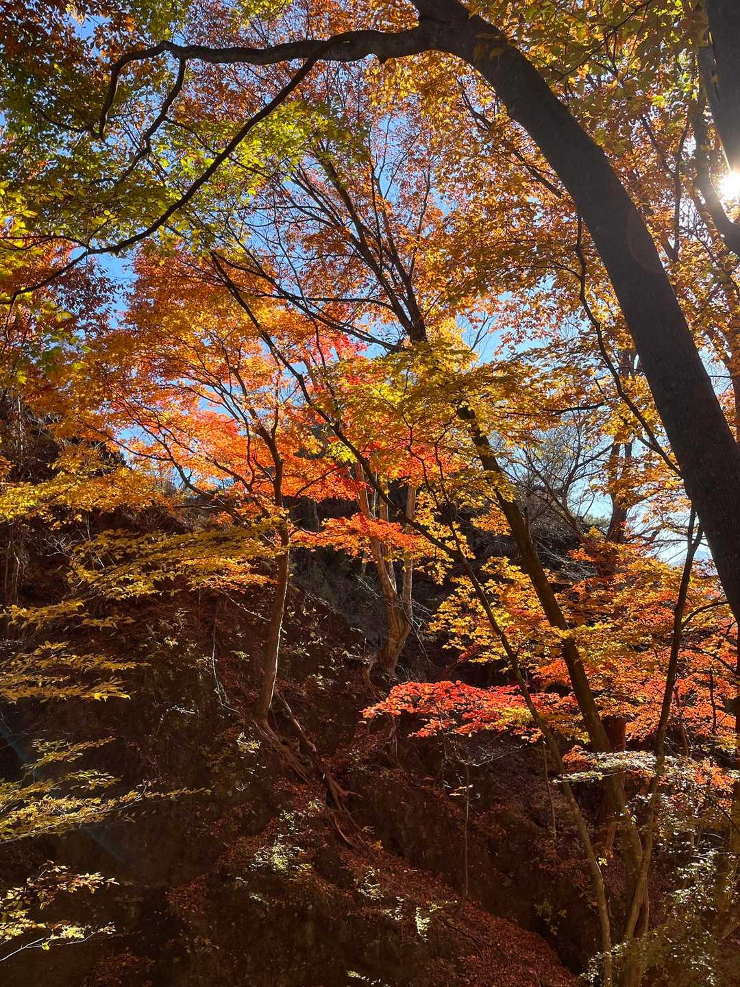 岩櫃山登山口-岩櫃山 周回コースの写真