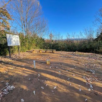 清水山。
壁のようにあった植物が少なくなっていますね。
でしたら、アレをやるしかないですね。