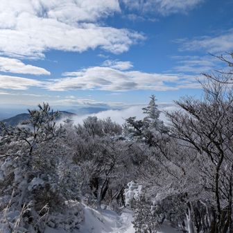 晴れてきて気持ち良い☺️