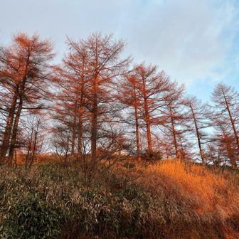 ここから最高な時間。