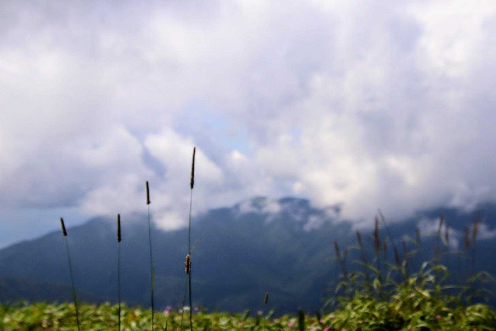美ヶ原-王ヶ鼻 往復コースの写真