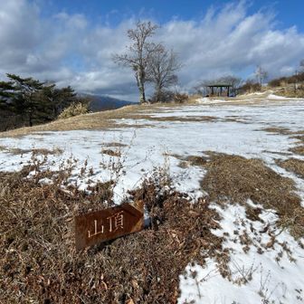 食後のピーク取りに