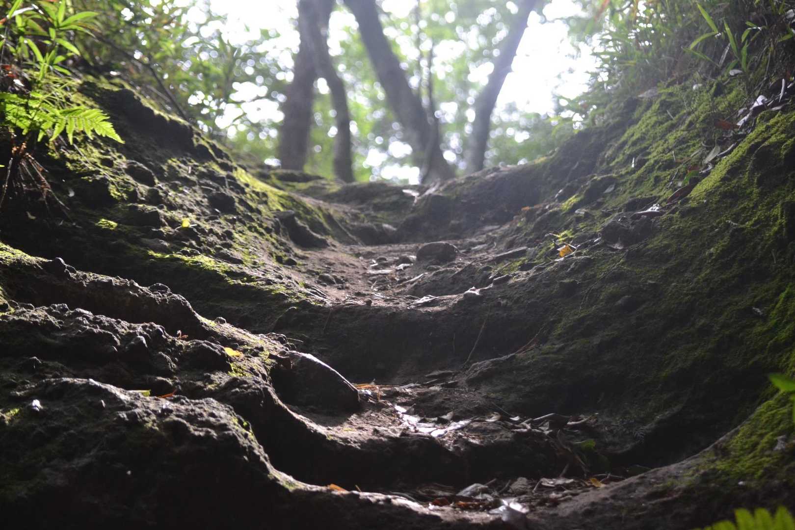 あれ？着いたよ、岩屋。
コアジサイは？なかったよ🙄
水飲み場まで、戻ってみたけど分からず。
ちゃんと調べとくんやった〜