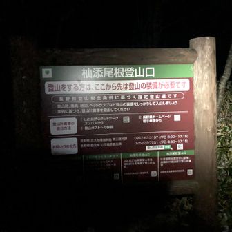 ブラックスタート