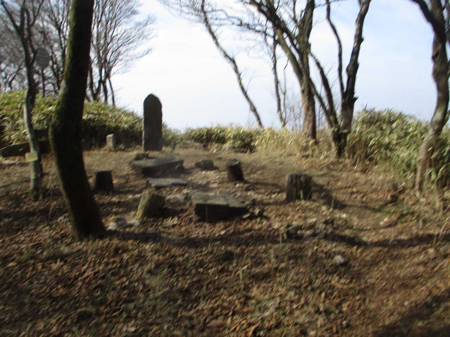 矢護山