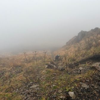 この辺足場悪過ぎて歩きにくいったらありゃしない😭ボロボロ崩れる小石の登山道でした。