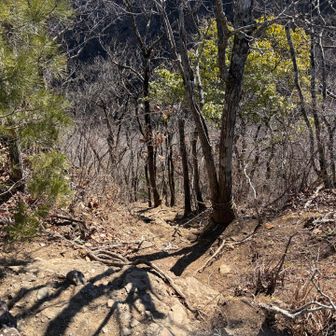 生瀬富士下り。結構こわい。