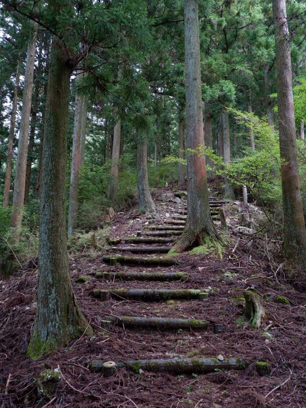 また登りがはじまります💦