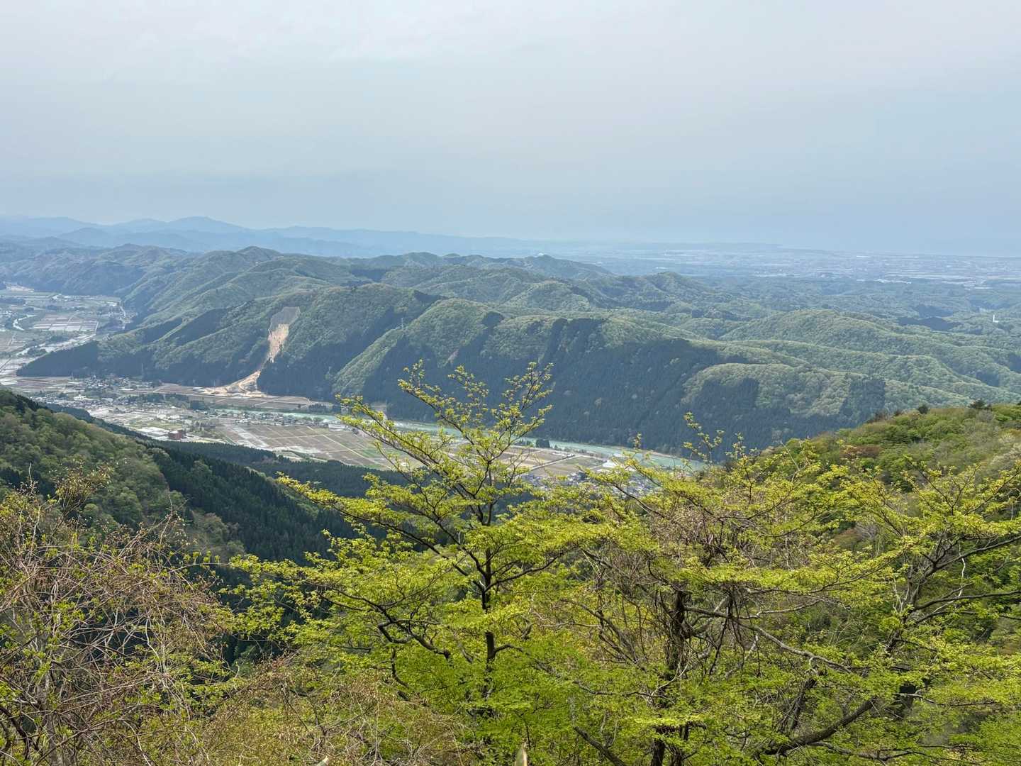 月惜峠-月惜山 往復コースの写真