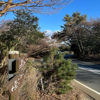 サクサク下りてきました。
途中、1匹の鹿🦌を見かけましたが軽快に走っていってしまった…

そして間も無く駐車場🅿️