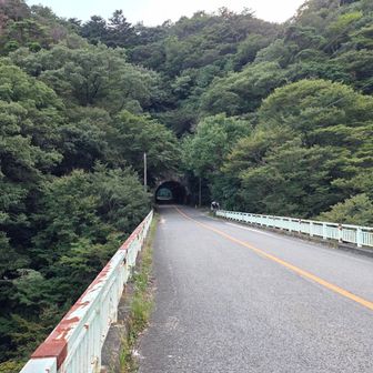裏道入口が見えて来た。