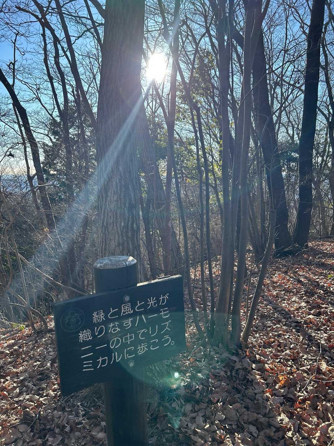 リズミカルに。
リズミカルに🎶
帰りはBGMだね👍