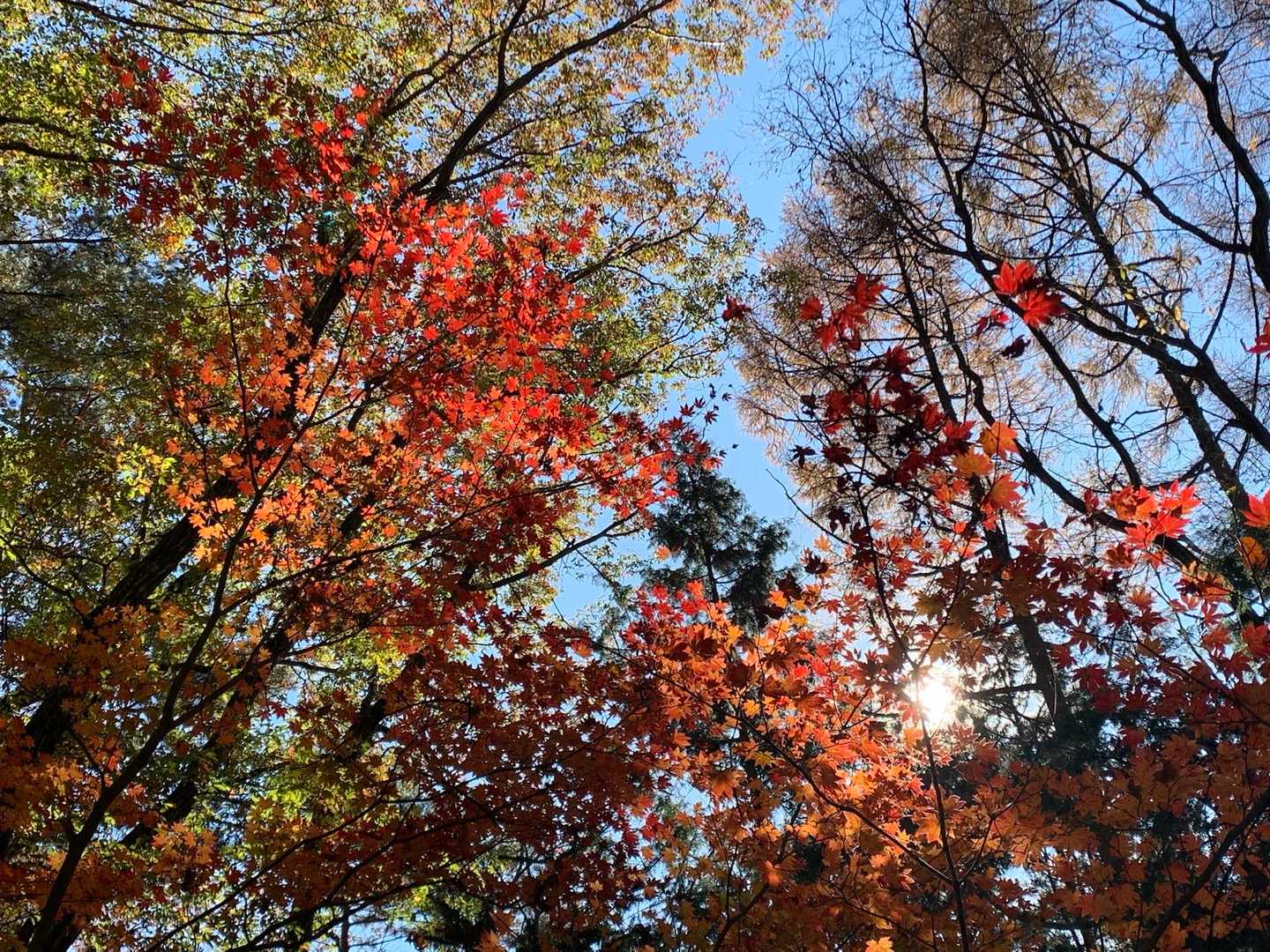 しかしとても寒い🥶