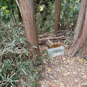 北鎌倉駅から建長寺ではなく、別の道から上がるコースとして上がり、分岐から少しだけ外れて登ったところに六国見山山頂がありました。眺望はなく、その場に居合わせた方が六国どころか一国も見えないなんて言われてましたがまさにそんな感じです。サクッと天園側へ向かいます。
