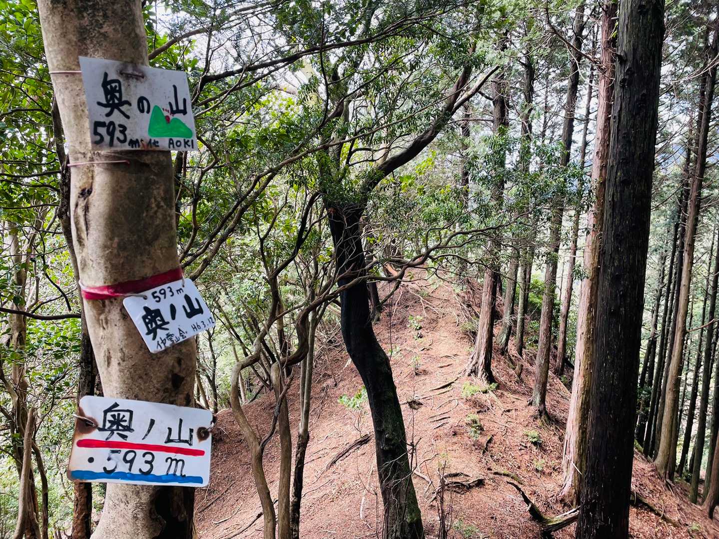 到着❗️
まぁ勿論展望無しの【奥の山　593m】から次の…
