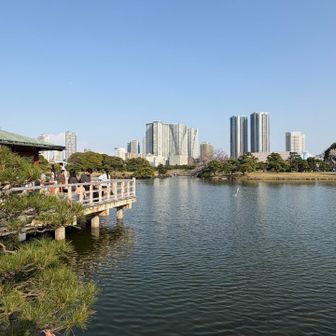 浜離宮恩賜庭園では五つのピークがあります！中島の御茶屋ステキでした。この景色を見ながらお茶するの気持ちよさそう〜
