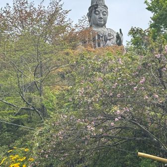 車道をまたいで反対側も境内のようで、大観音立像も見えてますよ！