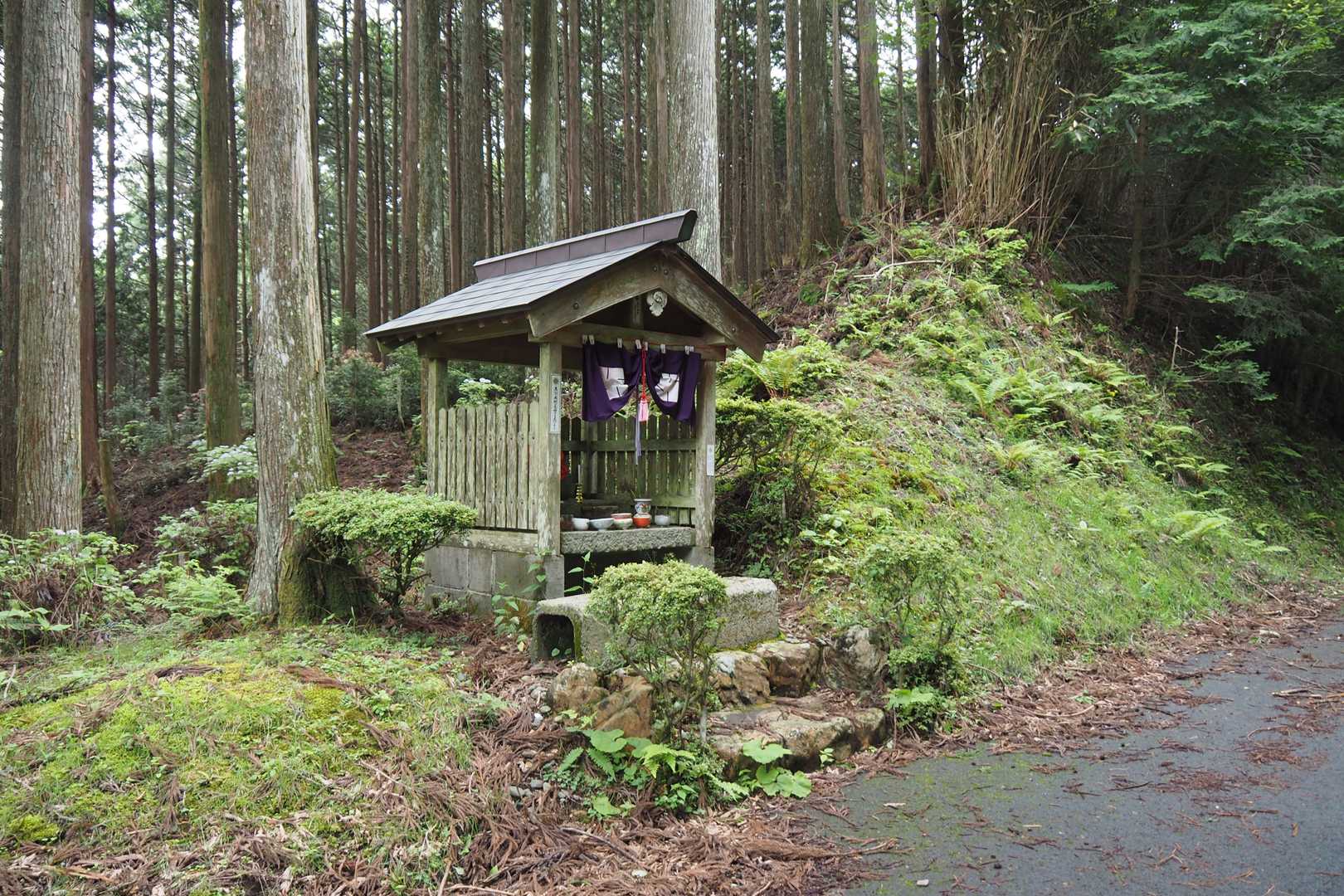 白屋岳登山口-白屋岳 往復コースの写真