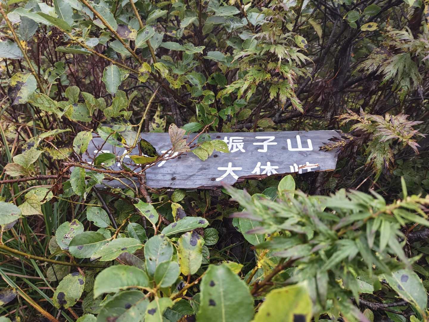 ここは象ケ鼻🐘らしい…