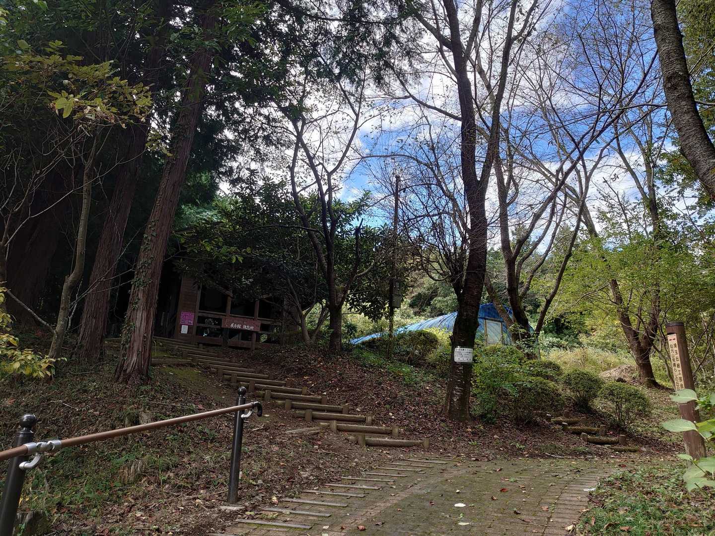 左から登ります