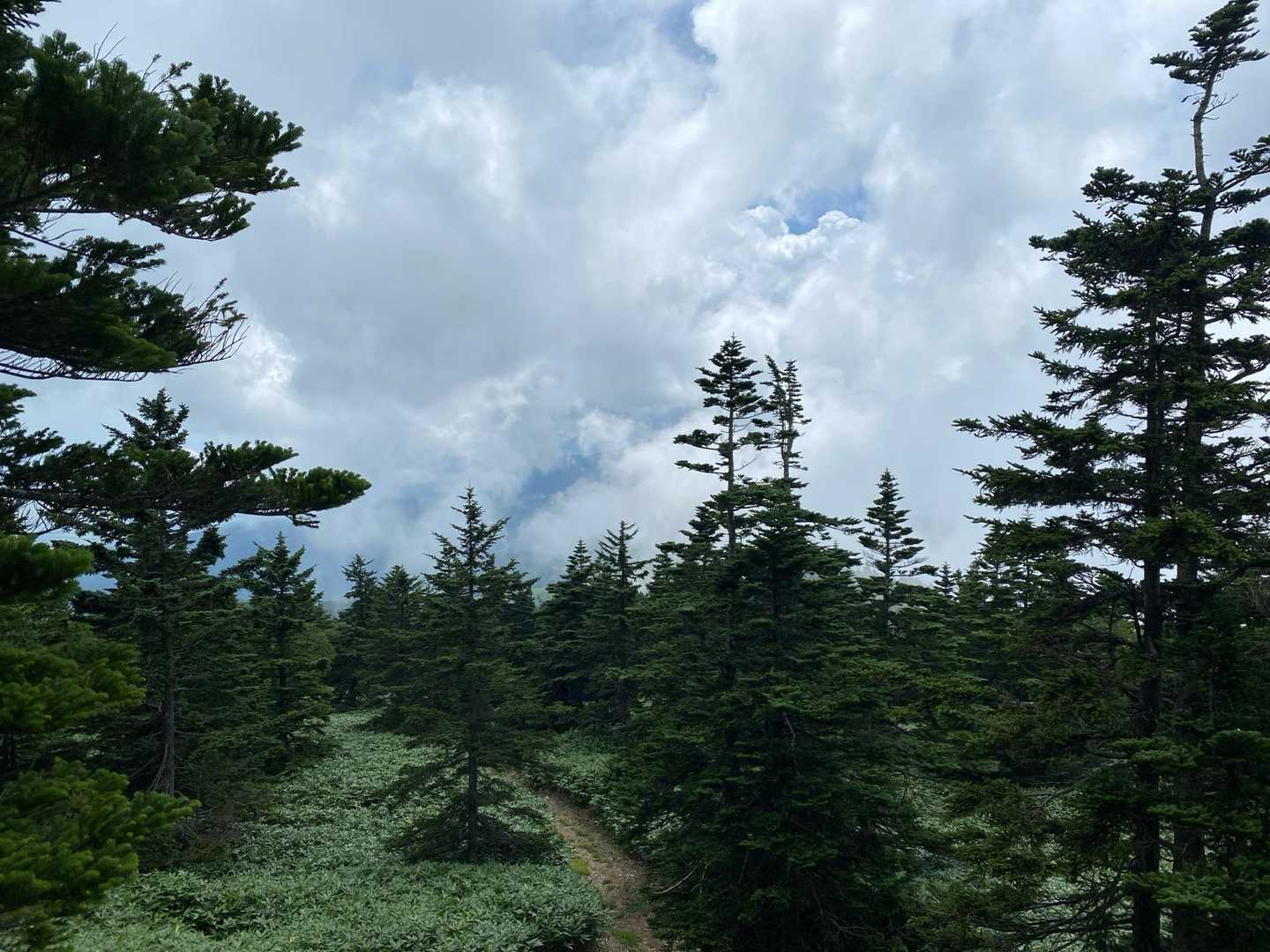 雲、多過ぎ