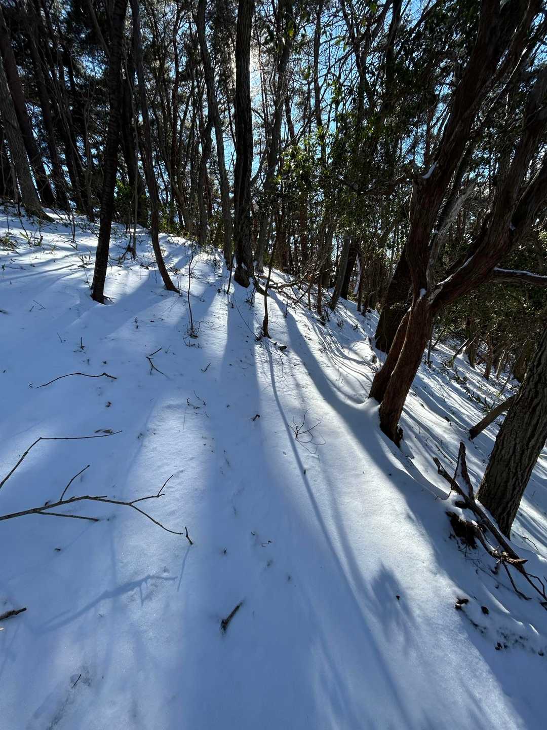 ここからの下山めちゃくちゃ怖い
すべる