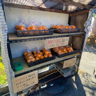 みかん売ってた🍊