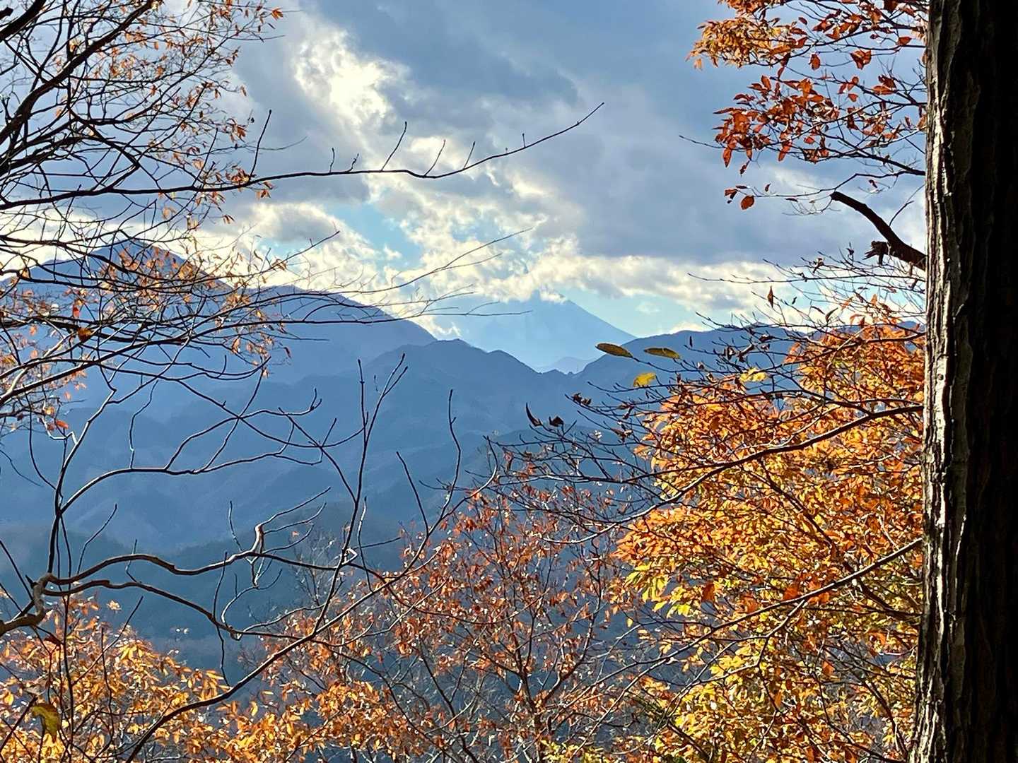 石老山 縦走コースの写真