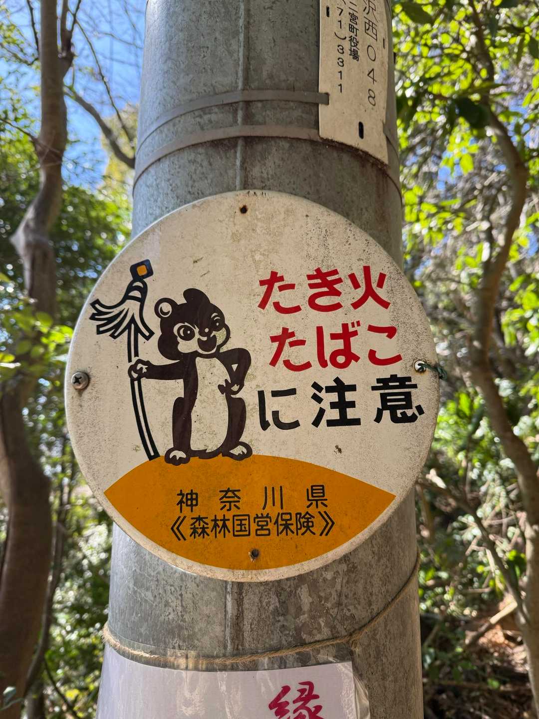 チョッピー🐿️
いた！！