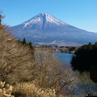 今日も最高です。