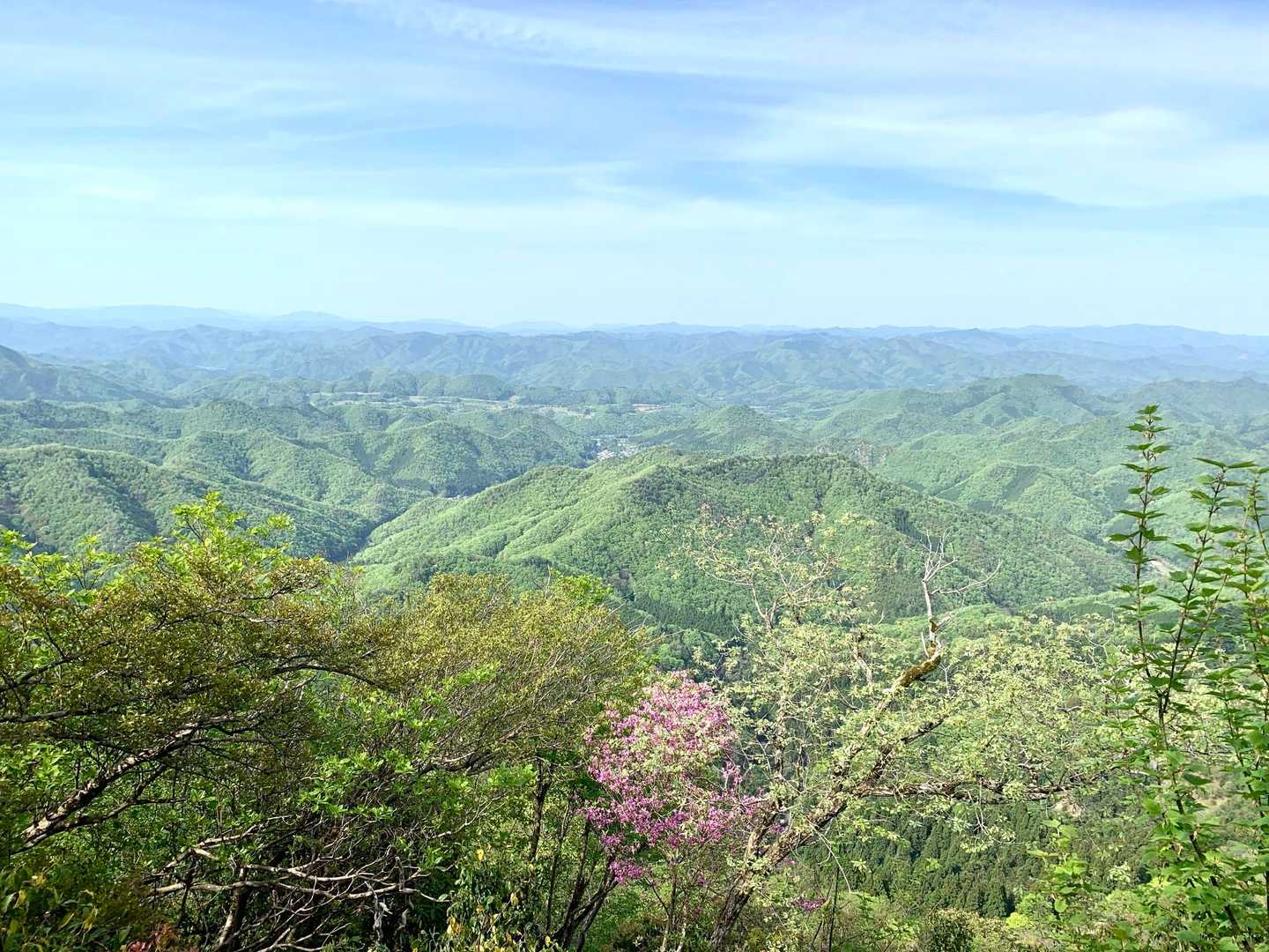 御嶽道登山口-鳥居堂跡-大岳寺跡-御嶽-西ヶ嶽-小金ヶ嶽- 周回コースの写真