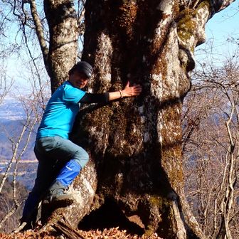 ありがとうございます😭