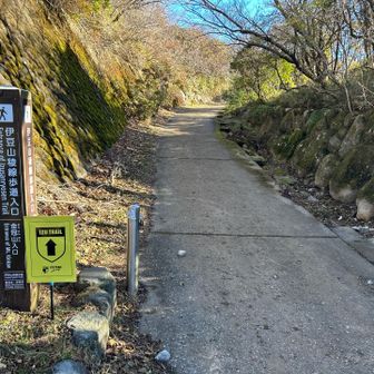 富士山に雲がかからないうちに金冠山から〽️