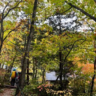 紅葉を楽しみながら無事下山🍁