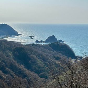 池ノ台から望む由良海岸
白山島につながる橋も見える👀