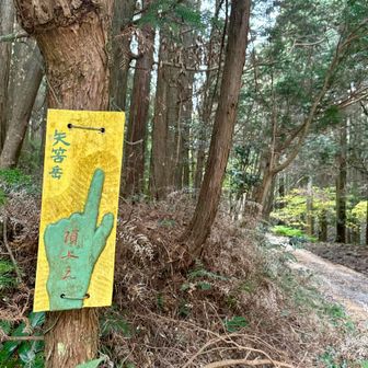 さぁしゆっはつ