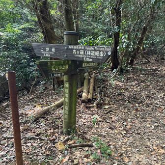 鷹取山はまっすぐ